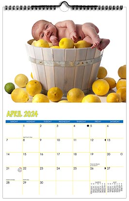 Custom Printed Monthly Photo Calendar Style CM6-4