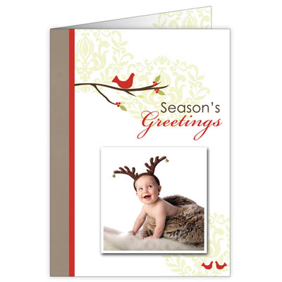 P186v Season's Greetings Holiday Card Design