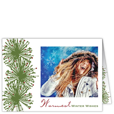 P188h Warmest Winter Wishes Holiday Card Design