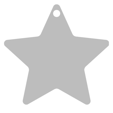 Star Metal Ornament