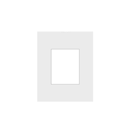 16x20 Mat with (1) 8x10 Window