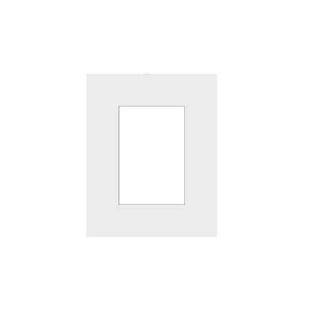 16x20 Mat with (1) 8x12 Window