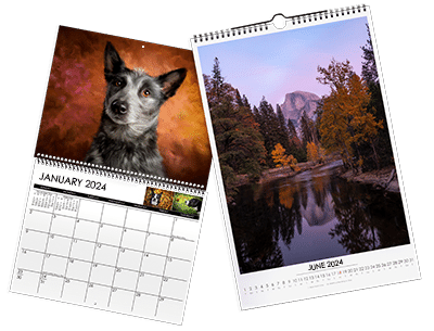 Publisher-quality Press Printed Calendars