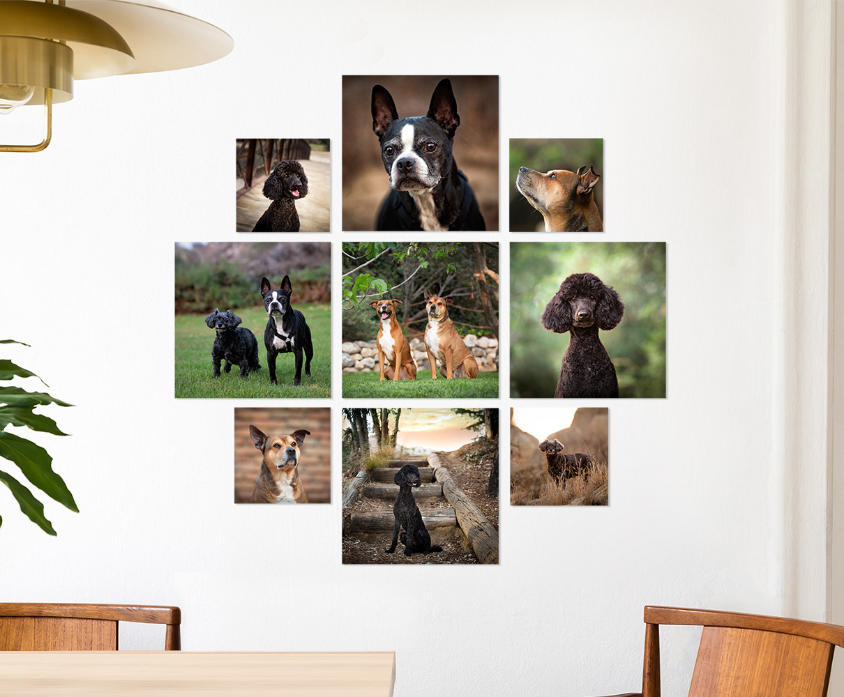 25% Off Stick-n-Switch Photo Tiles!