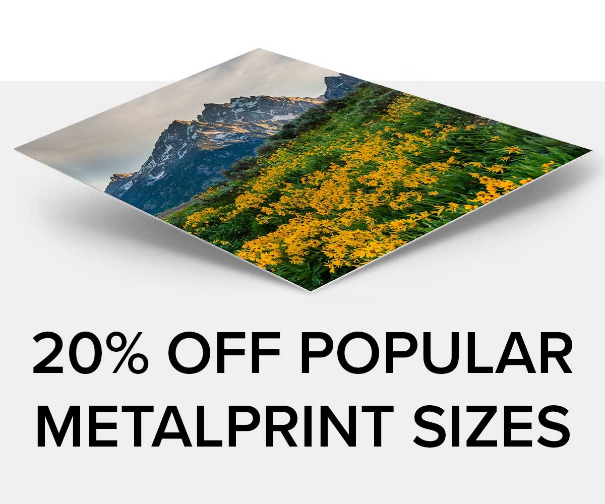 20% Off MetalPrints in our most popular sizes!