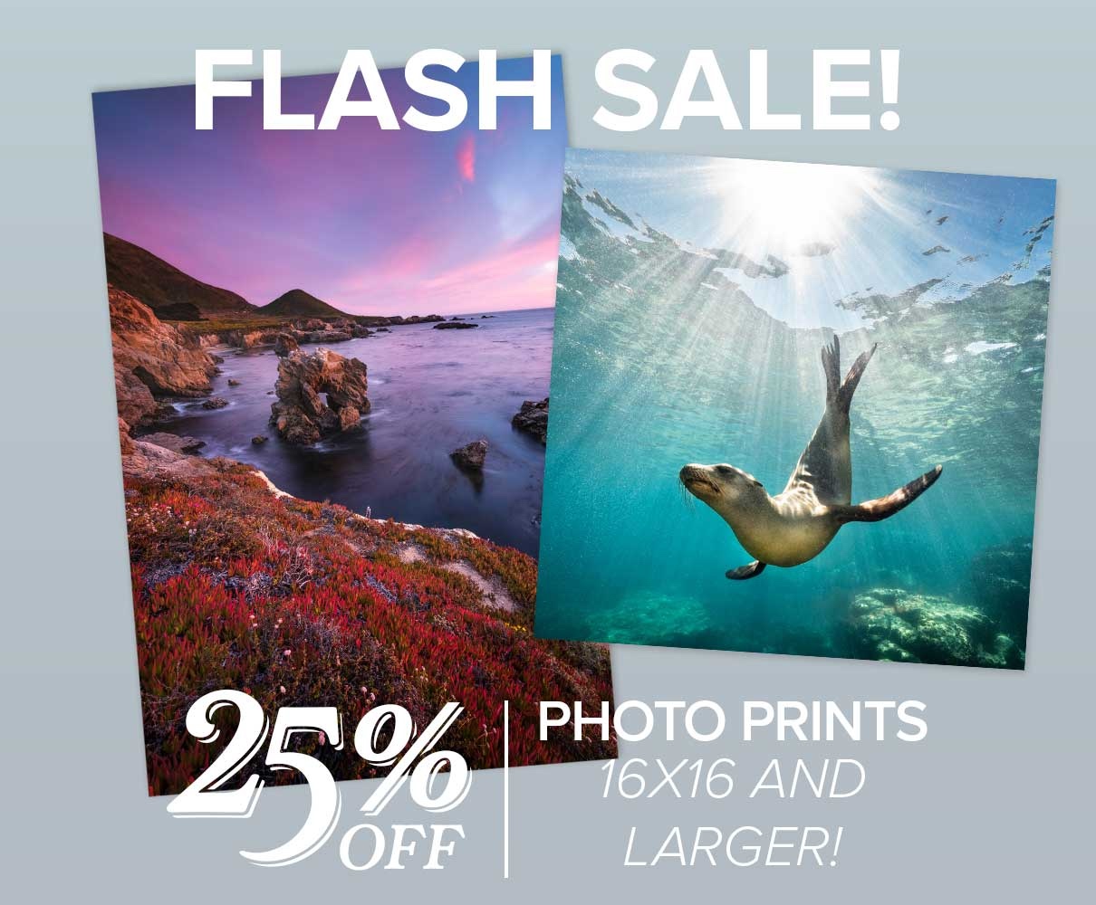25% Off Photo Prints Size 16x16 and Larger!