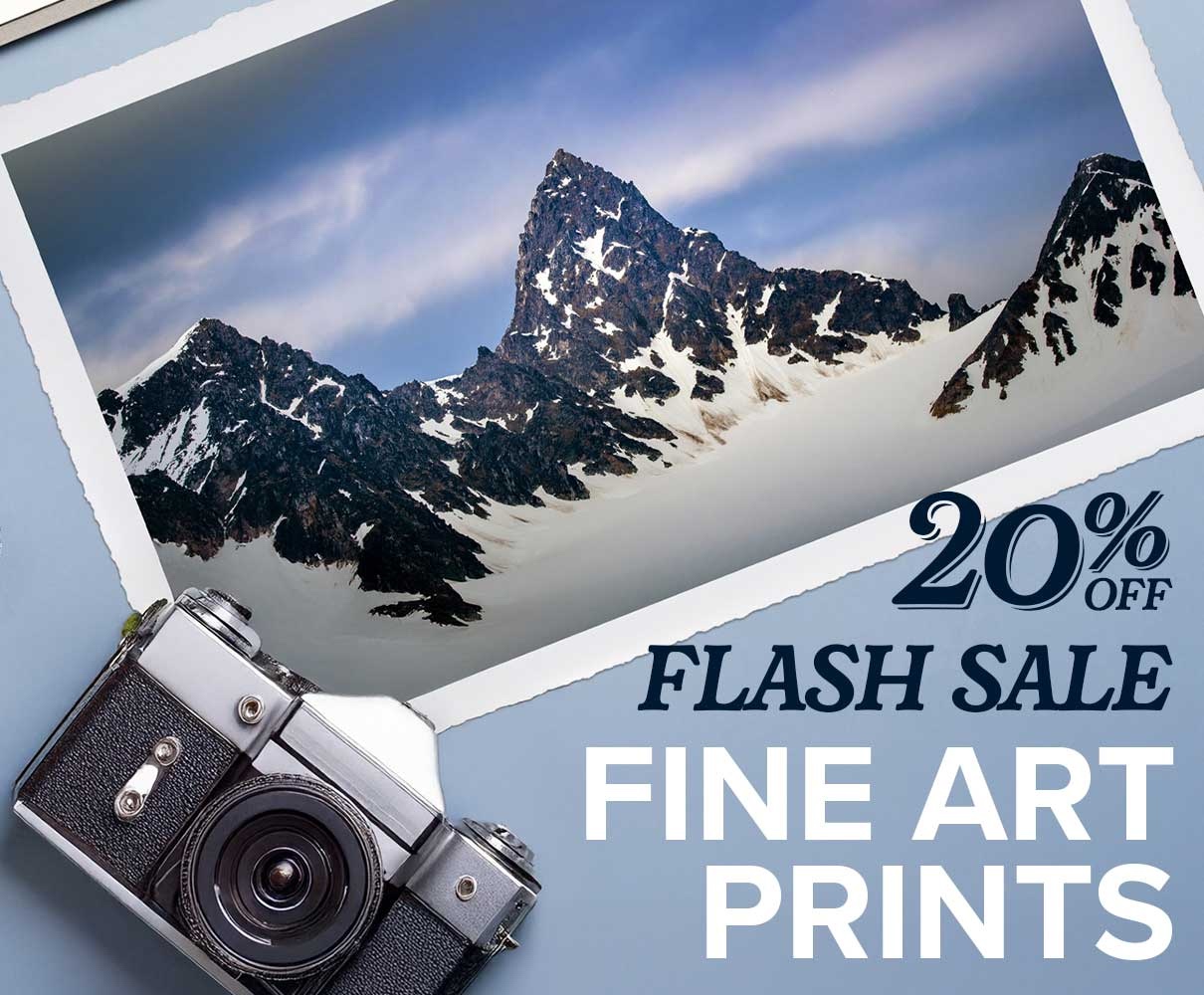 20% Off Fine Art Prints